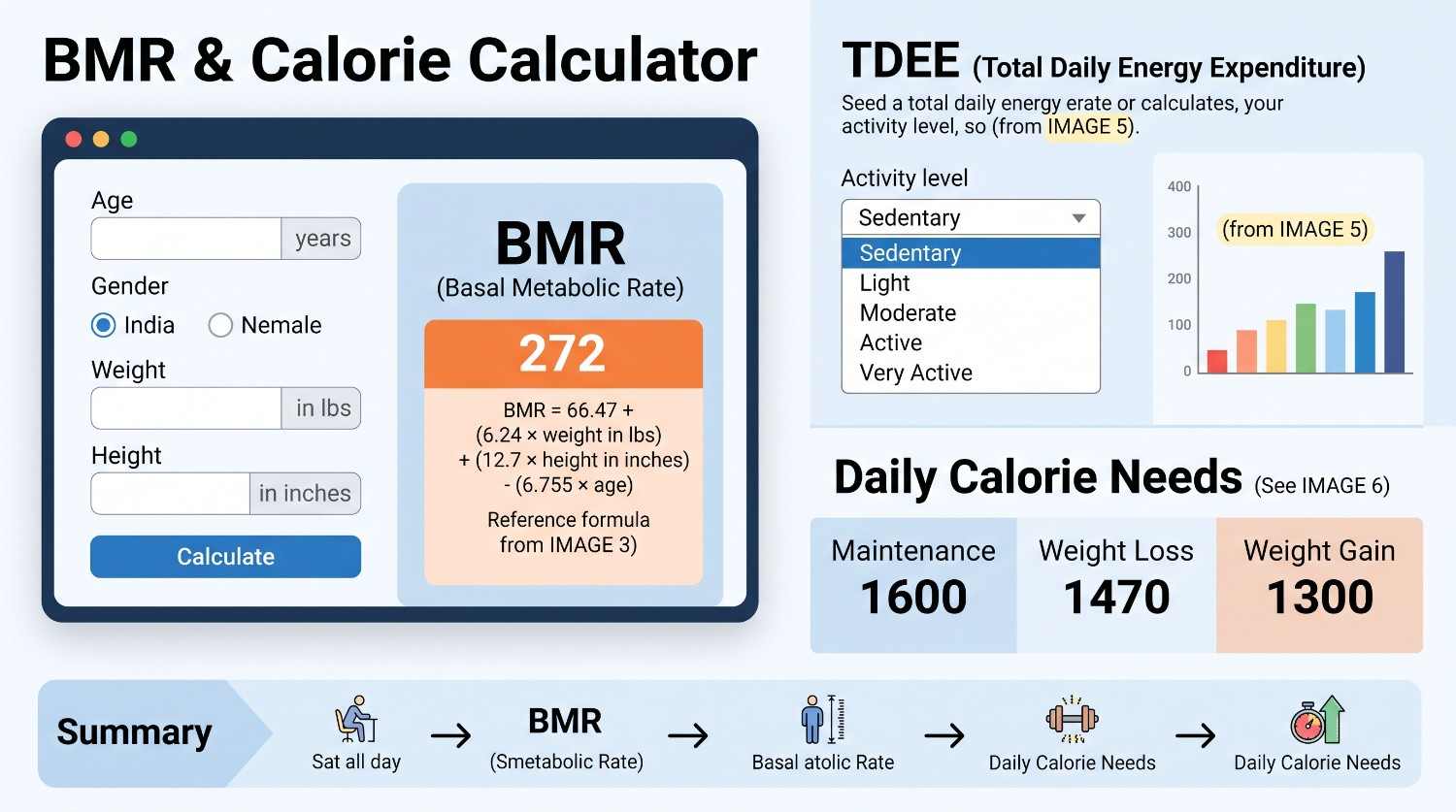 BMR & Calorie Calculator